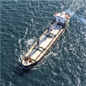 Maritime Terramar Networks